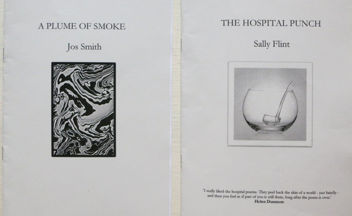 Sally Flint’s The Hospital Punch (Maquette&nbsp;Press)