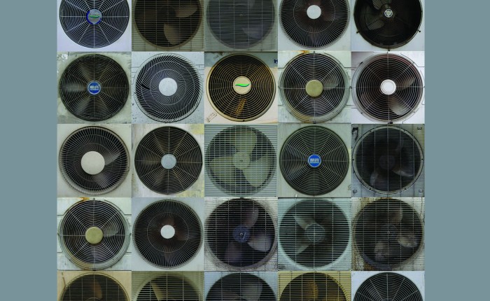 Friday Poem –&nbsp;Metamorphic