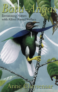 Batu-Angas Anne Cluysenaar