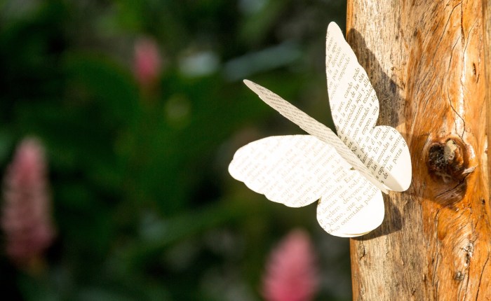 13 Ways to Support Poetry – guest blog post by Dick Allen&nbsp;#NaPoMo